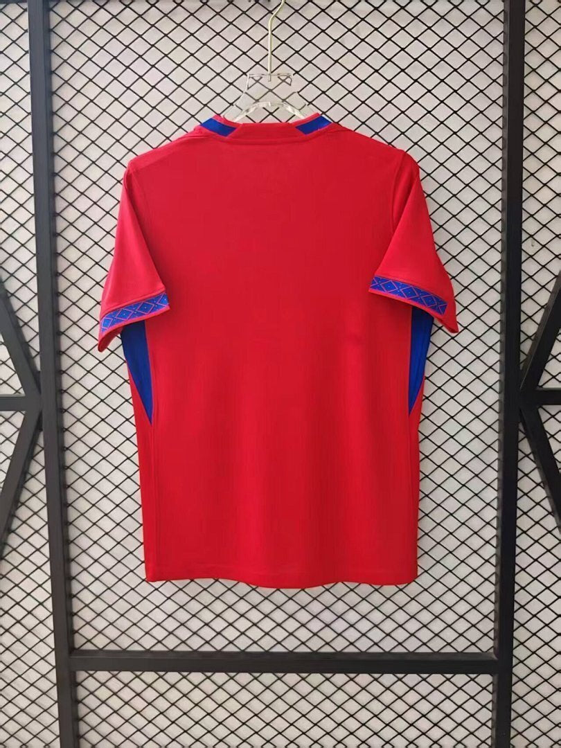Norway 2006 World Cup Home Soccer Jersey size S-4XL