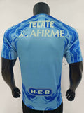 25-26 Tigres away player version jersey
