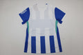 BRIGHTON Version jugador — Premier League - Championship