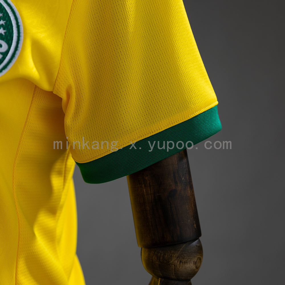 Palmeiras 25/26 Third Away Women S-XXL