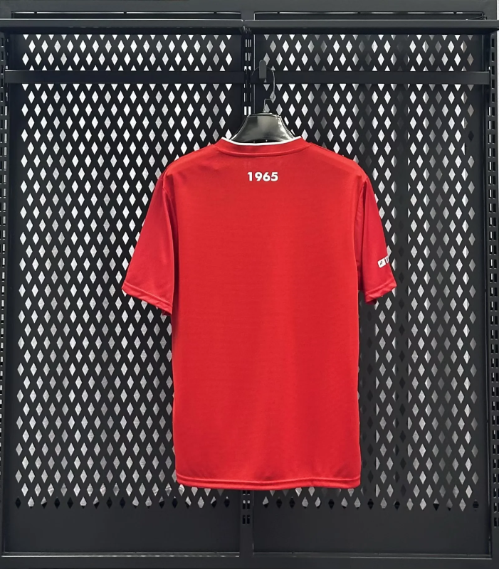 FC Twente 2025/26 Home soccer jerseys