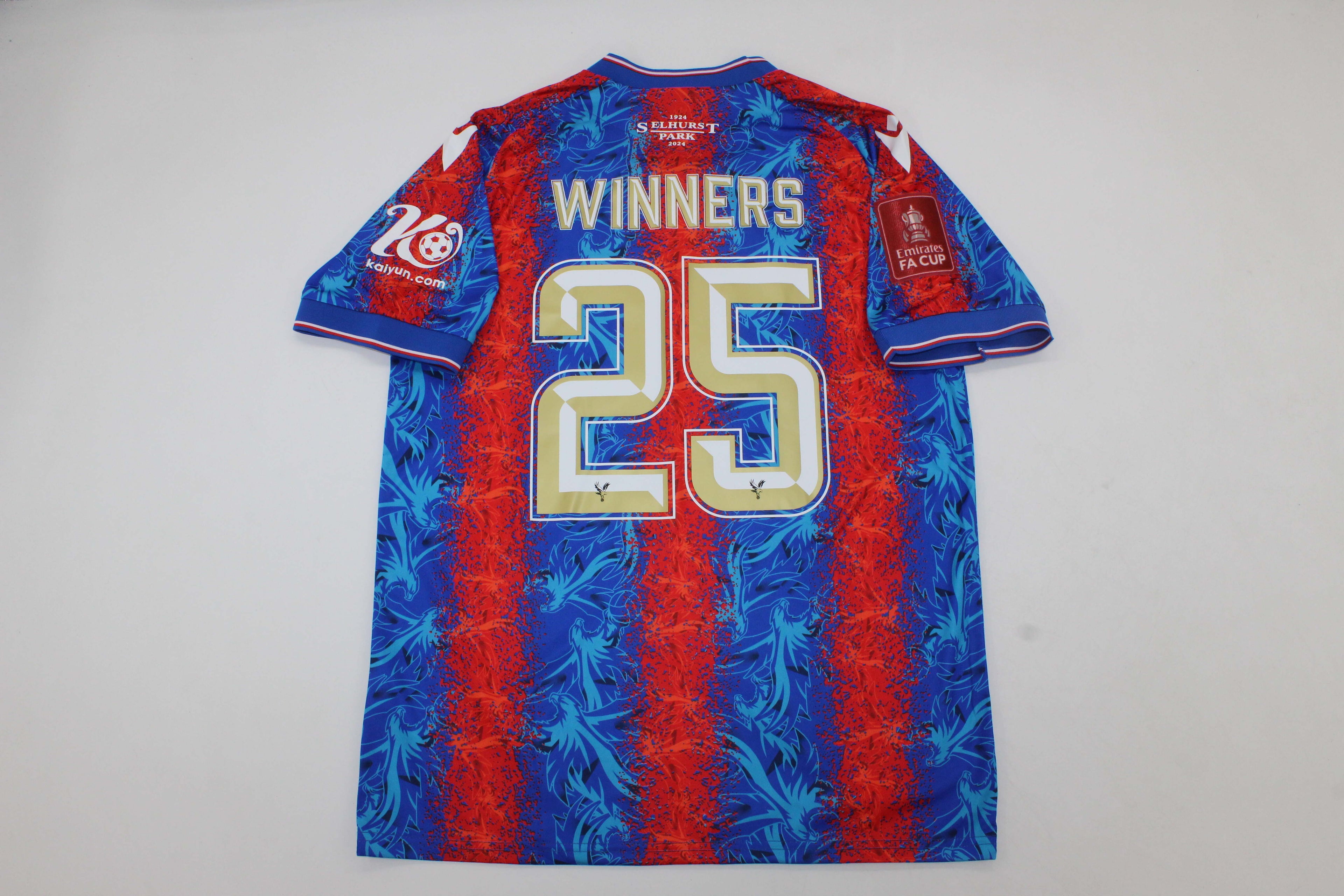 CRYSTAL PALACE 24-25 FA CUP FINAL — Final Edition