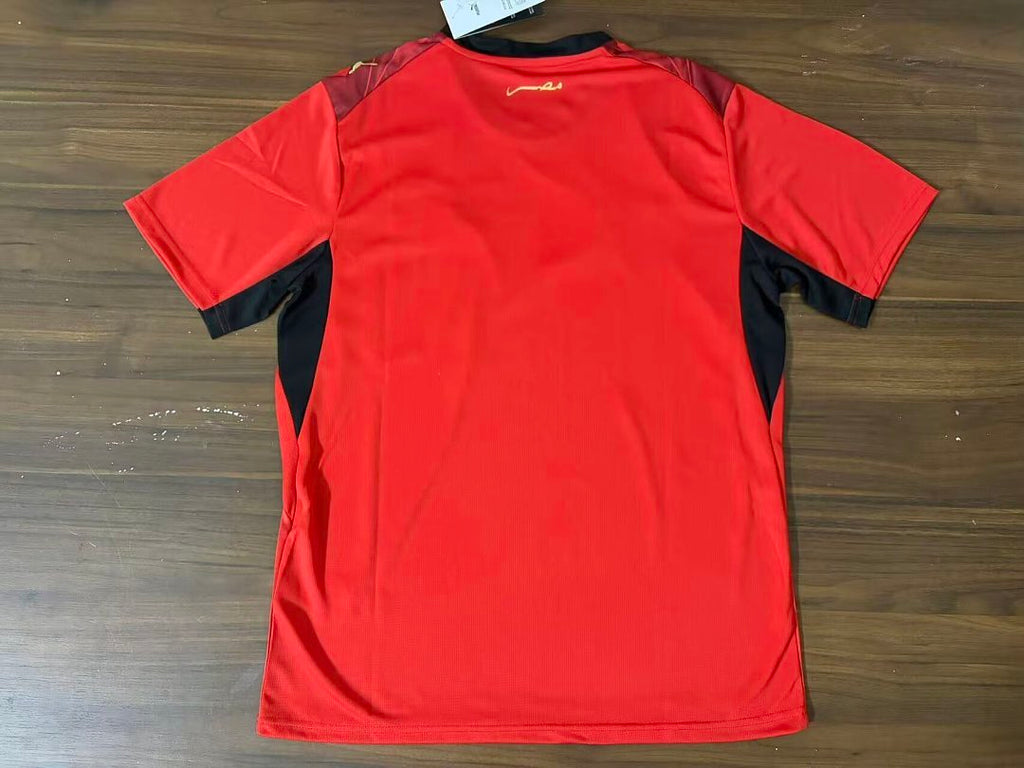 Egypt 2026 World Cup Home Jersey S-4XL