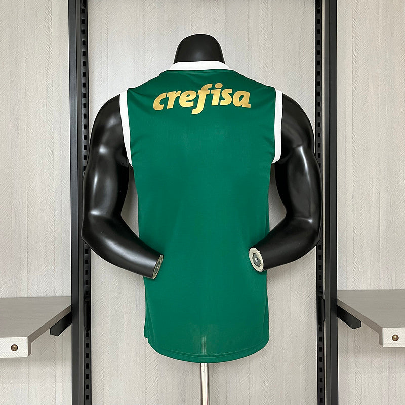 24-25 Palmeiras green vest