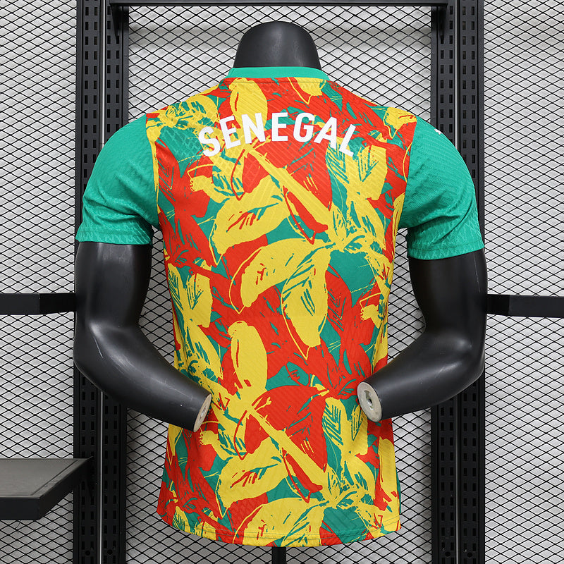 24-25 Ivory Coast Pre-match Player version jersey