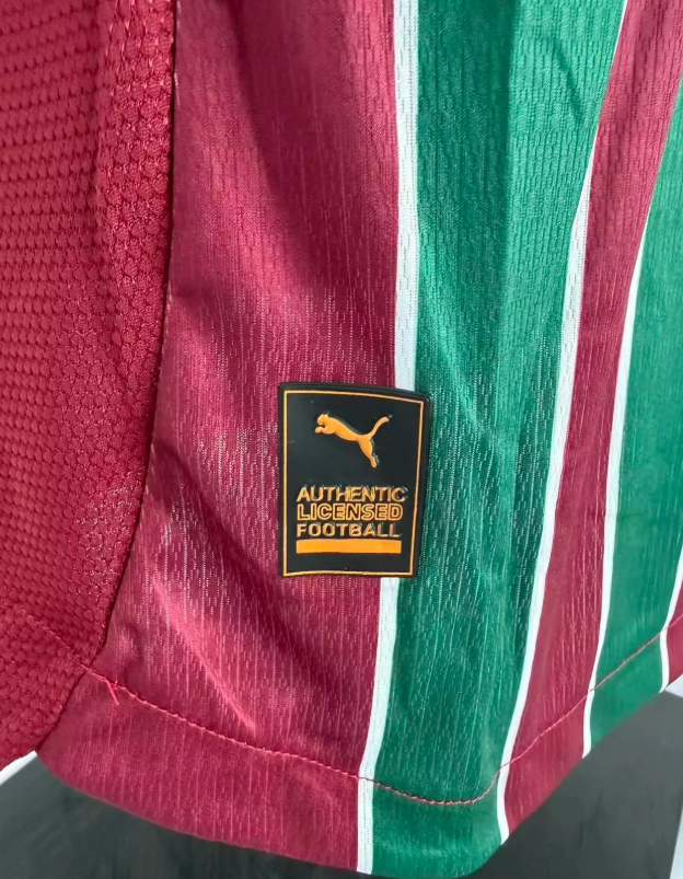 FLUMINESE Version jugador — Brasileirao