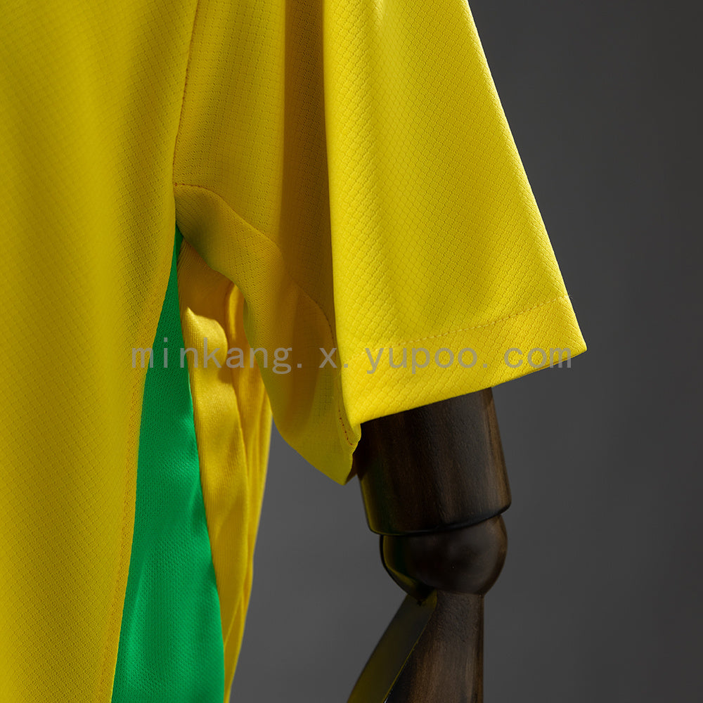Brazil 2025 Home Jersey S-4XL