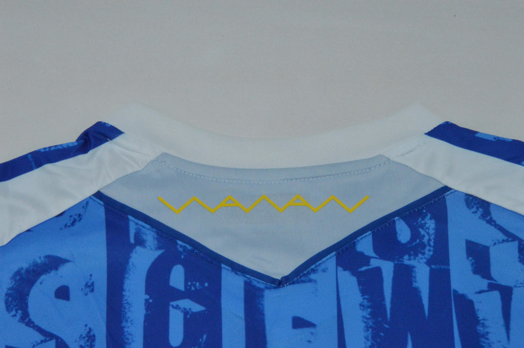 SHEFFIELD WEDNESDAY — Premier League - Championship