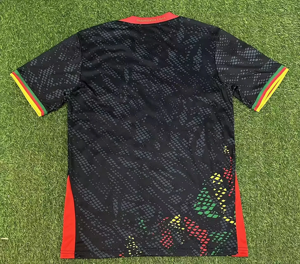 Cameroon 2026 World Cup Black Special Jersey size S-2XL