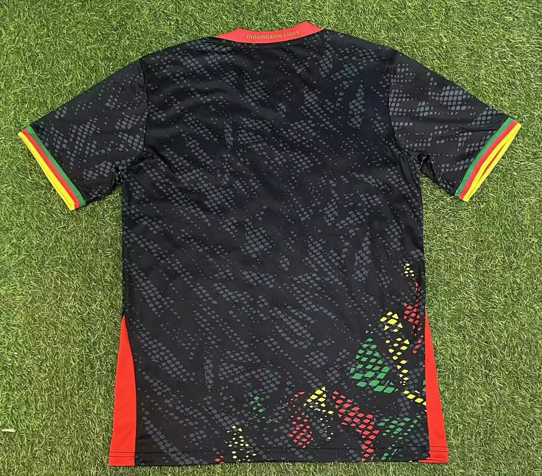 Cameroon 2026 World Cup Black Special Jersey size S-2XL