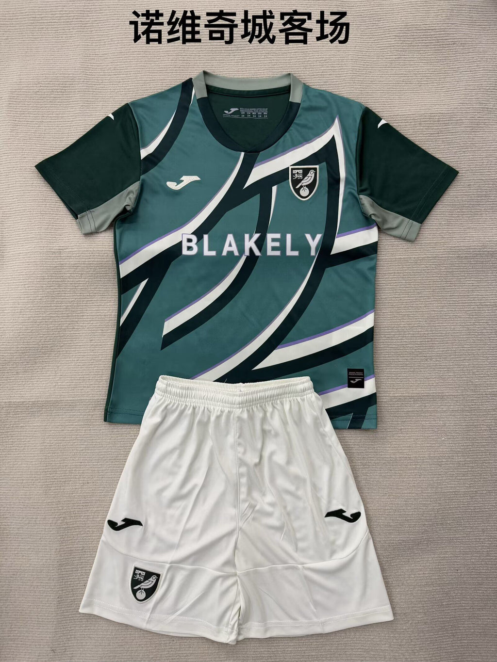 NORWICH Kit infantil — Premier League - Championship