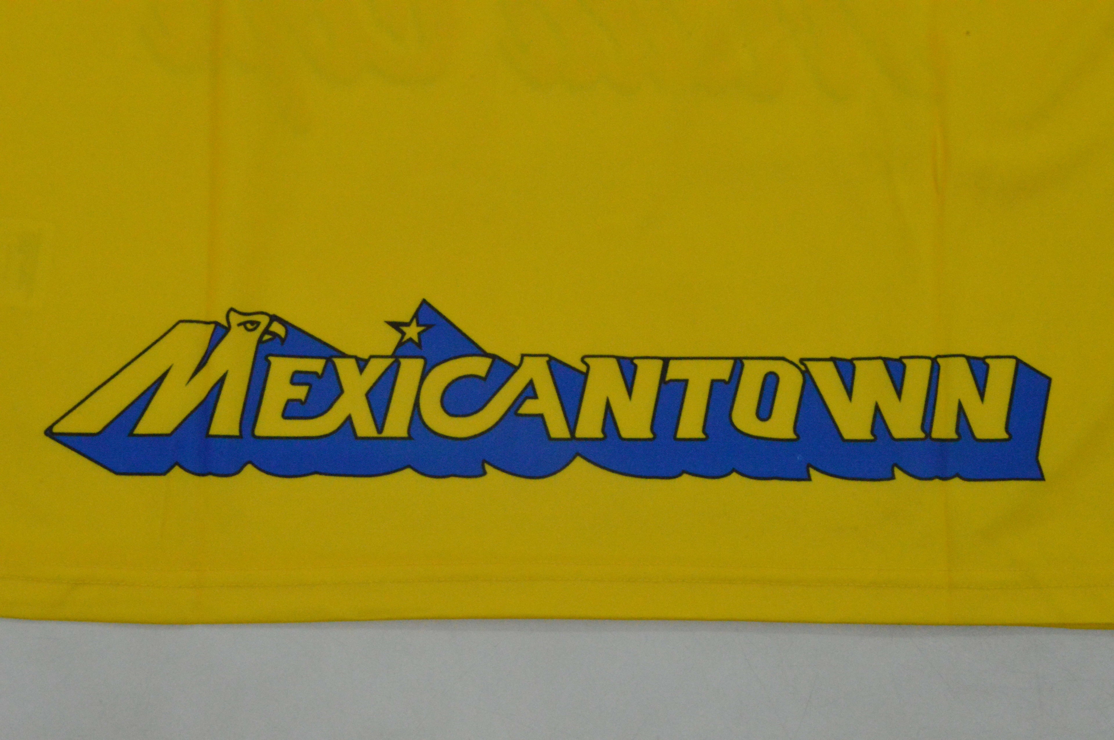 CLUB AMERICA 95-96 SPECIAL MODEL — Club Retro