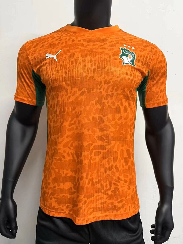 2026 Ivory Coast Home Player version S-3XL — Jsonwang 26/27