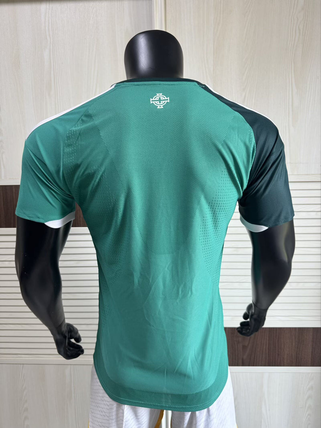 NORTHERN IRELAND Version jugador — Europe Other