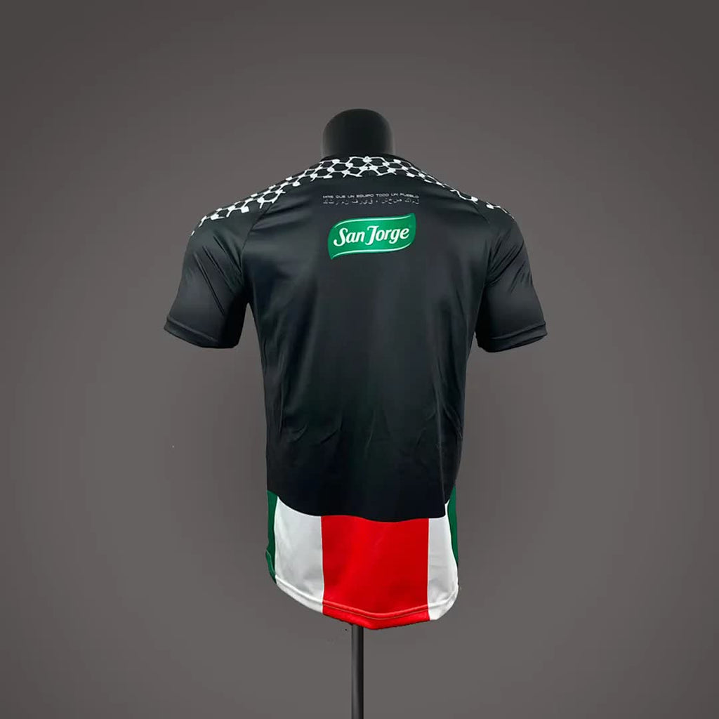 CD Palestino Palestino 2026/27 home soccer jersey size S-4XL