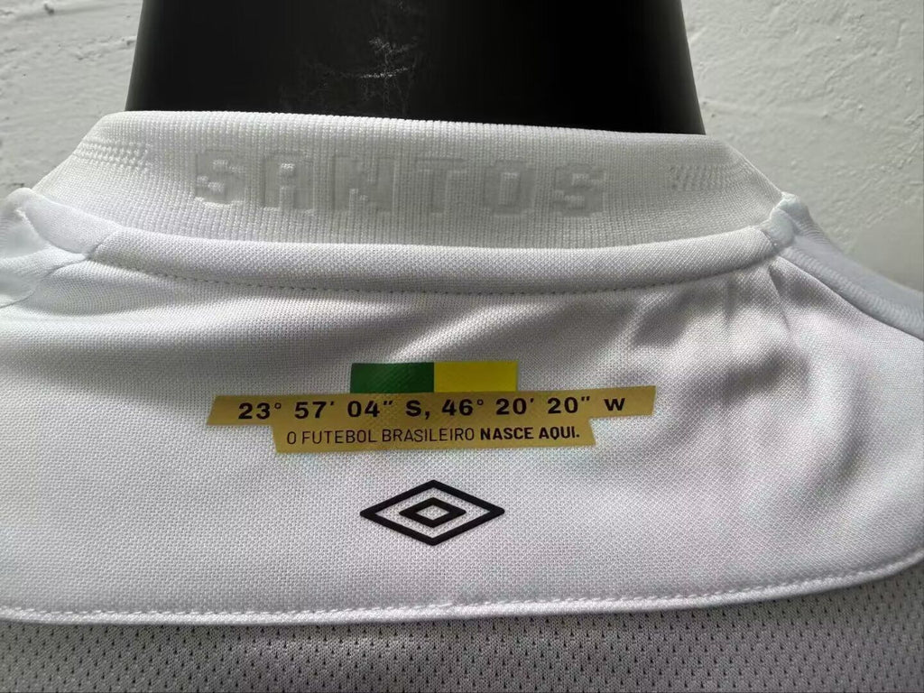 SANTOS Version jugador — Brasileirao