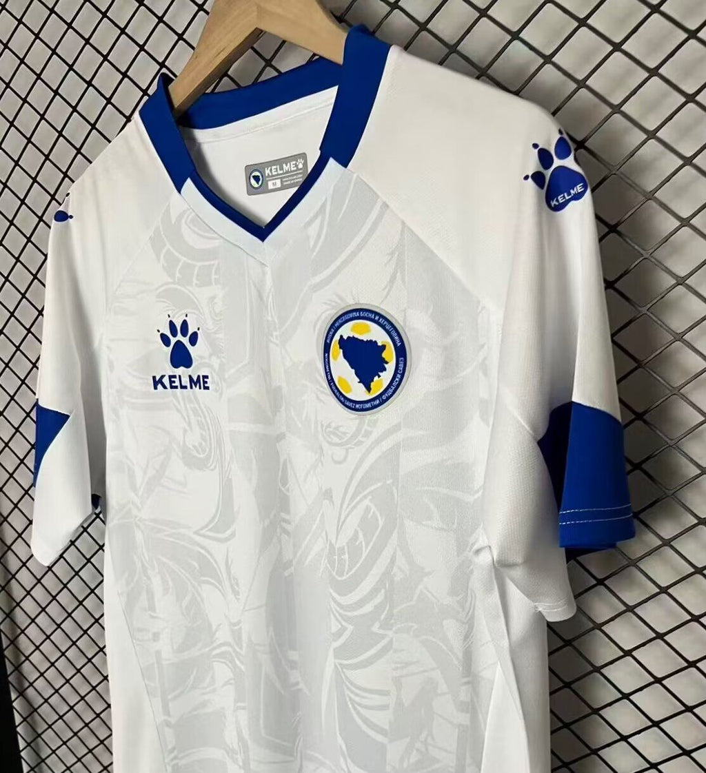 BOSNIA — Europe Other