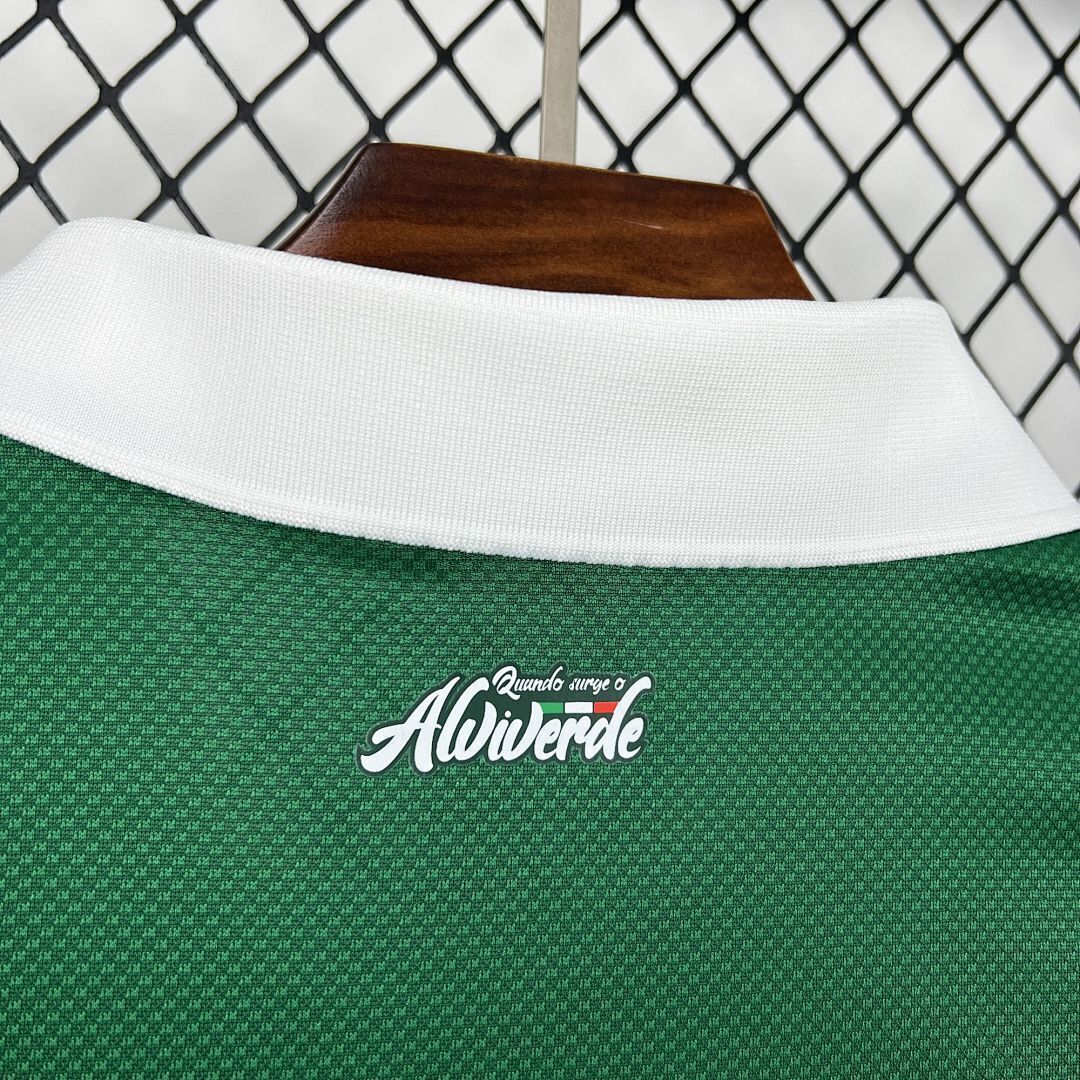 Womens Palmeiras 2025/26 Special Jersey Size S-2XL
