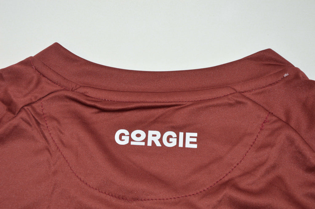 HEART OF MIDLOTHIAN — UEFA