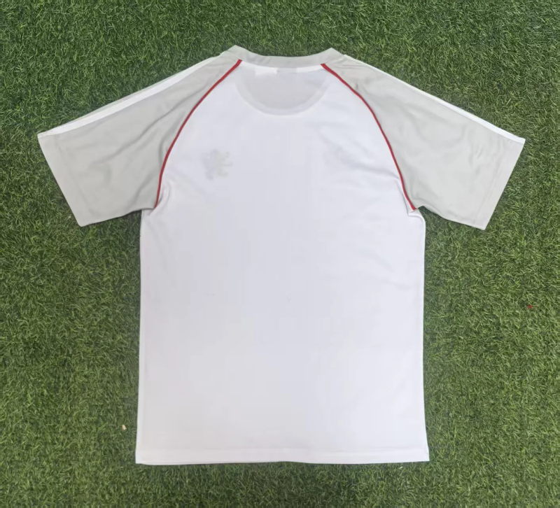 Lyon 2025/26 Gray and White Shirt size S-2XL