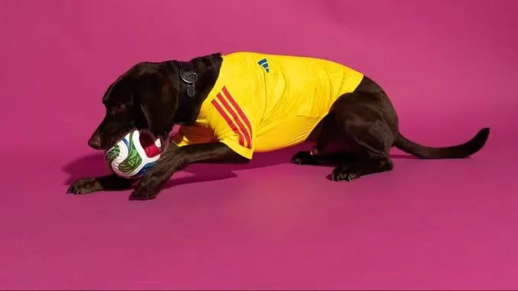 Colombia 2026 World Cup Home PET Jersey size XS-XL