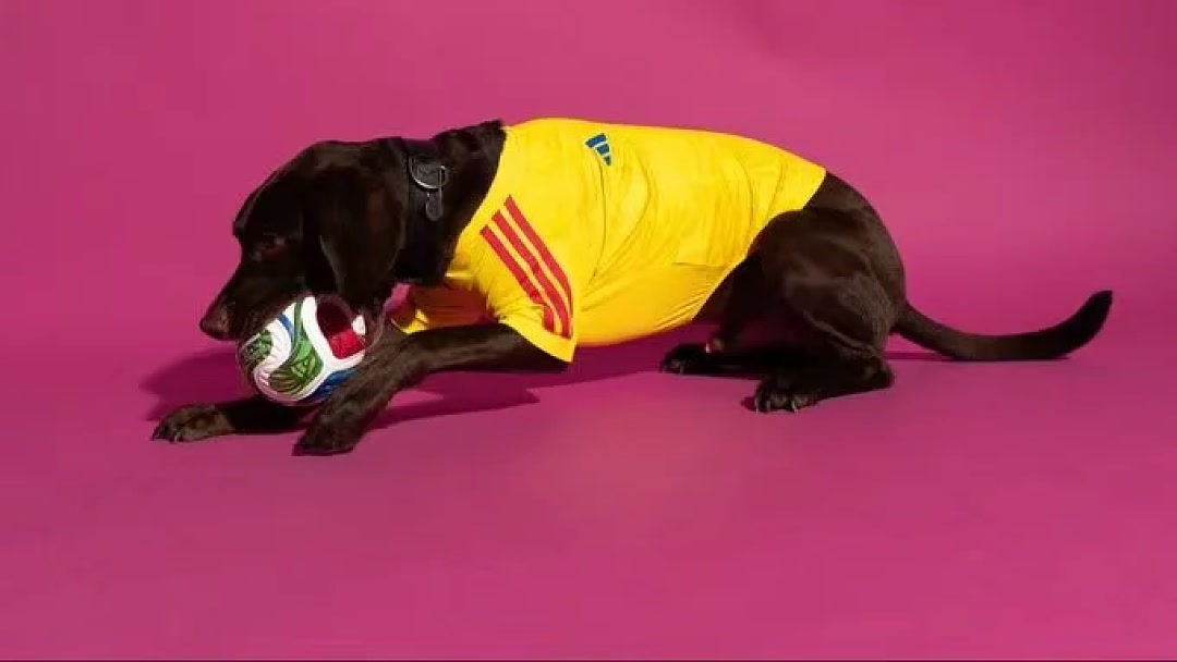 Colombia 2026 World Cup Home PET Jersey size XS-XL