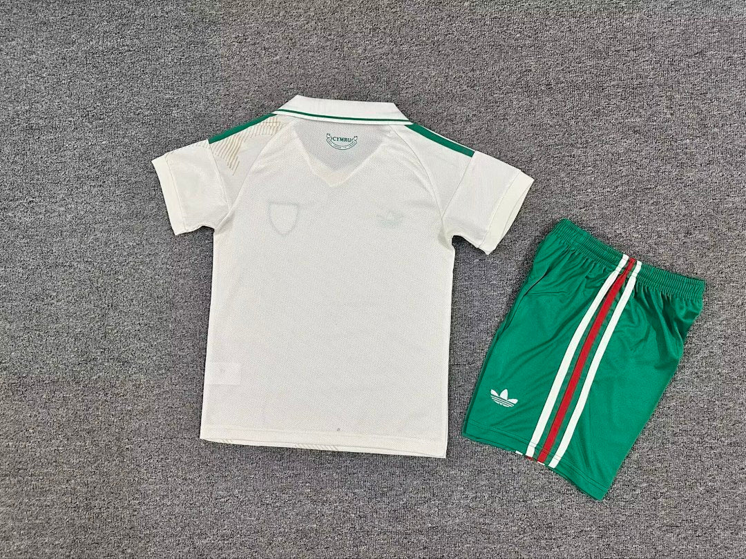 Wales 2026 World Cup Away kid kit size 16-28