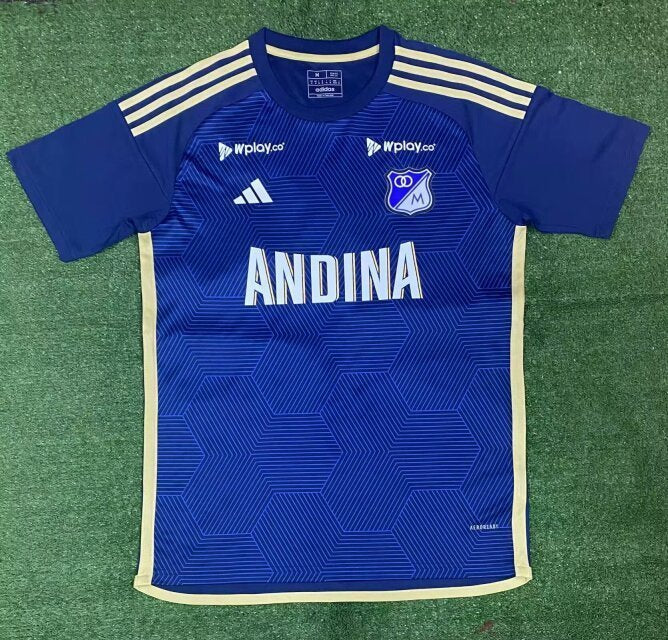 24-25 Hoffenheim home soccer jersey