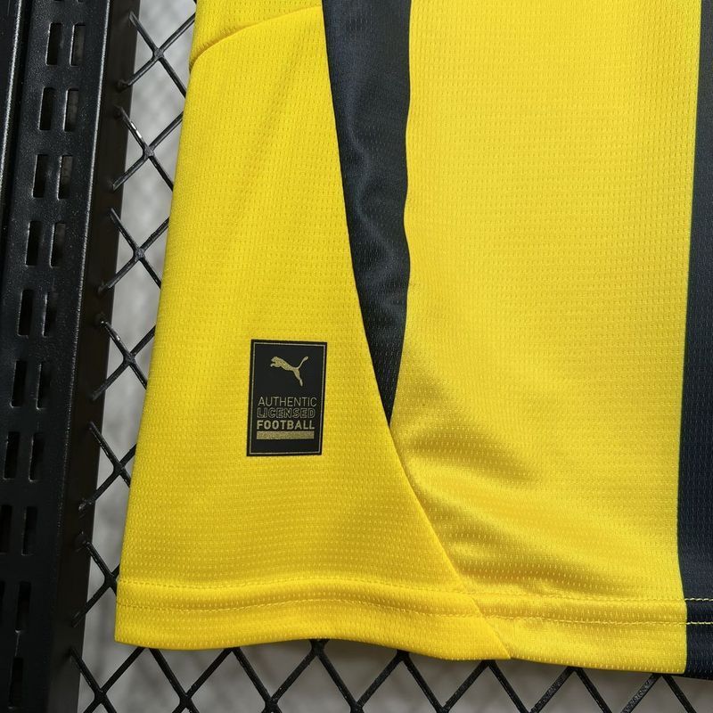 24-25 Fenerbahce home s-xxl