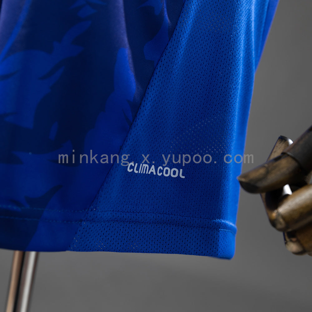 Japan 2010 Home Retro Jersey S-XXL