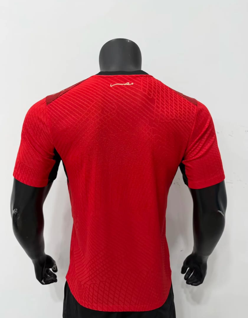 Egypt 2026 World Cup home player version Jersey S-XXL