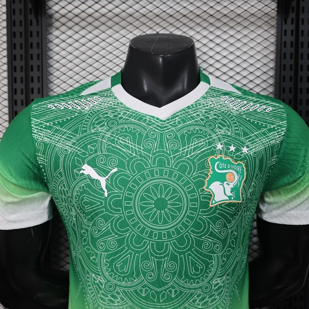 Cote d Ivoire 2026 World Cup Special Edition Green Jersey Player Version S-XXL
