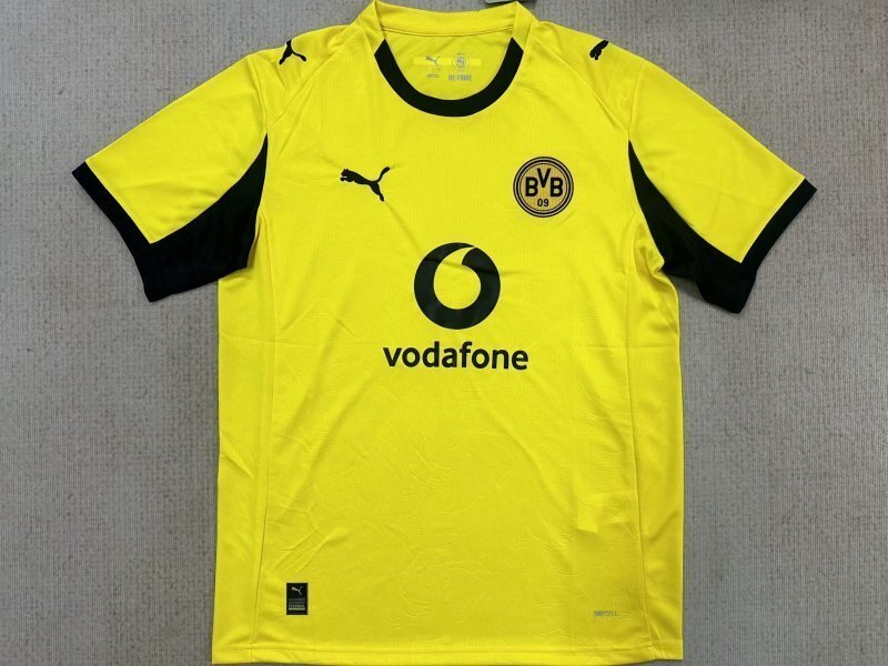 Dortmund 2025/26 yellow special jersey size S-2XL