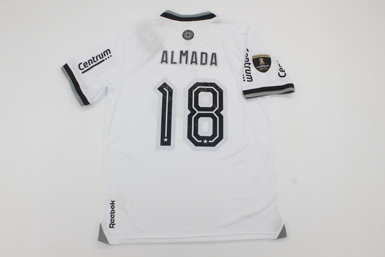 BOTAFOGO 24 LIBER FINAL — Final Edition