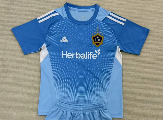 GALAXY GK — MLS