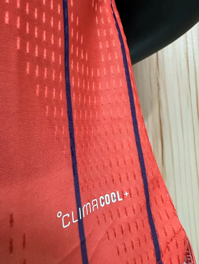 SCOTLAND 26 Version autentica/jugador S-XXL — World Cup 2026