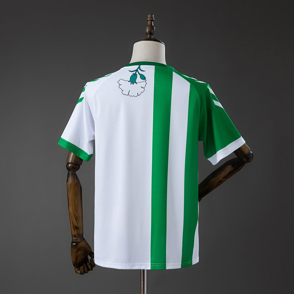 Real Betis 25/26 Pre-match Jersey S-4XL