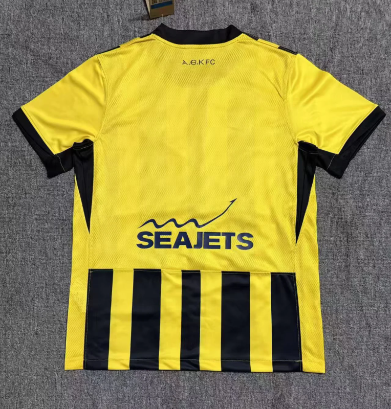 25-26 AEK Athens home soccer jersey