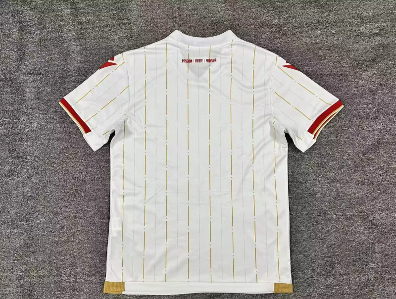 Standard Liege 2025/26 Away soccer jersey S-2XL