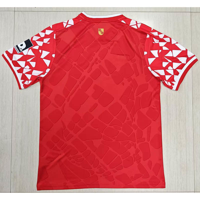 FSV Mainz 05 2025/26 Home Soccer Jersey