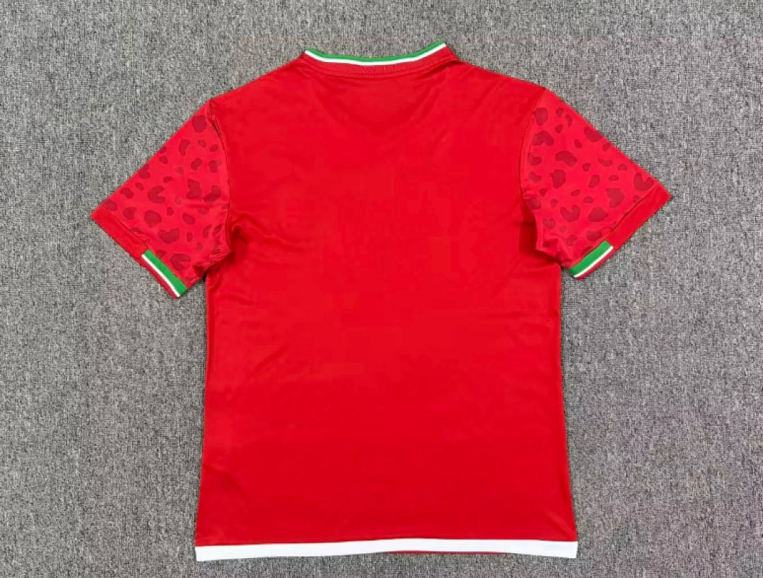 Iran 2026 World Cup Away Soccer Jersey S-4XL