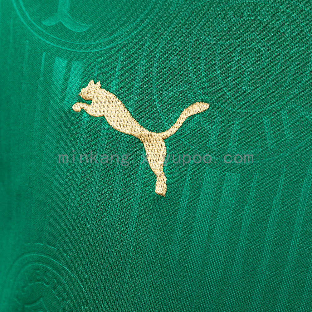 Palmeiras 24/25 Home Jersey S-4XL