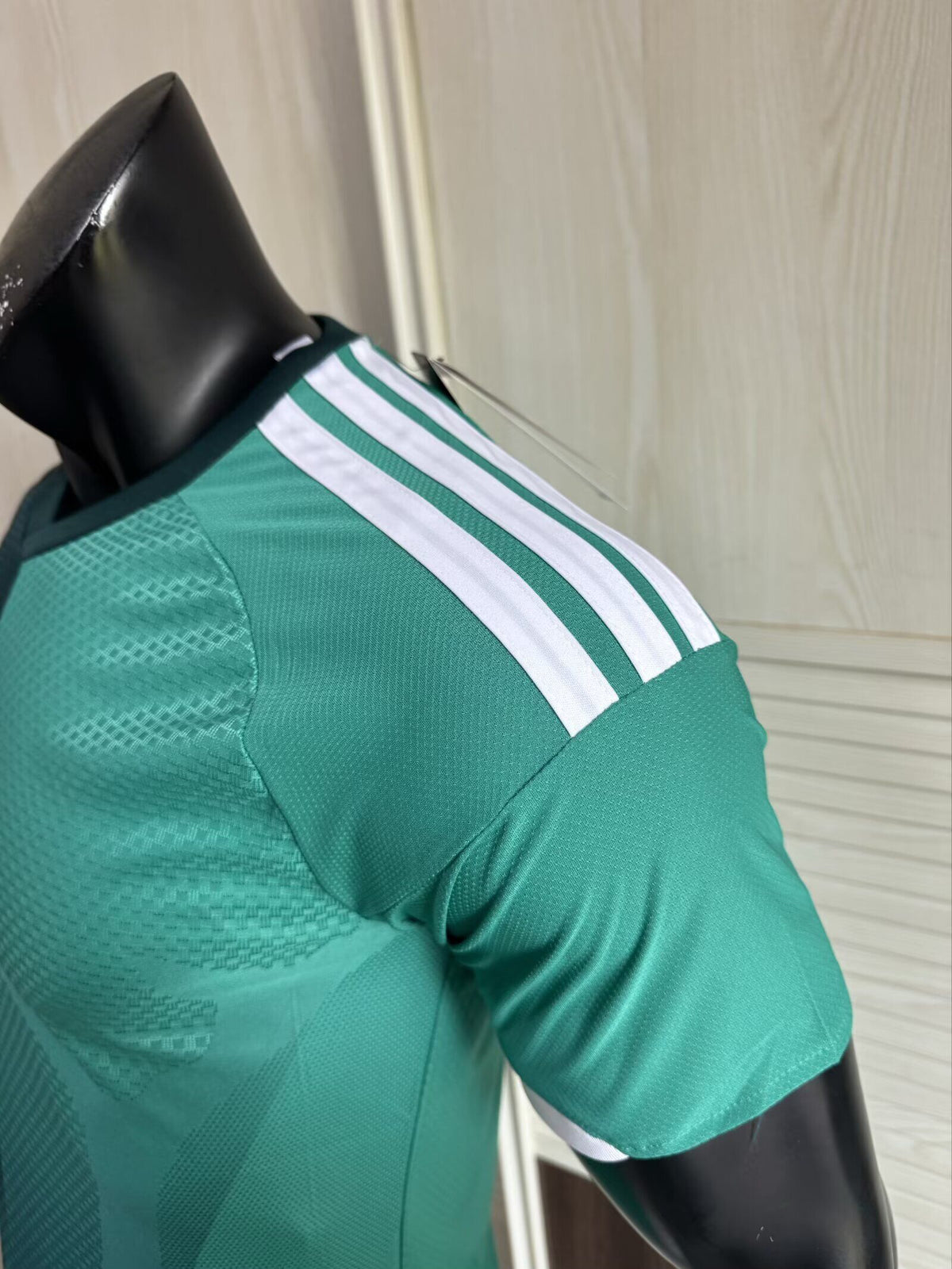NORTHERN IRELAND Version jugador — Europe Other