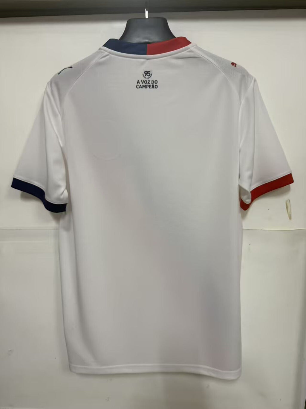 BAHIA — Brasileirao