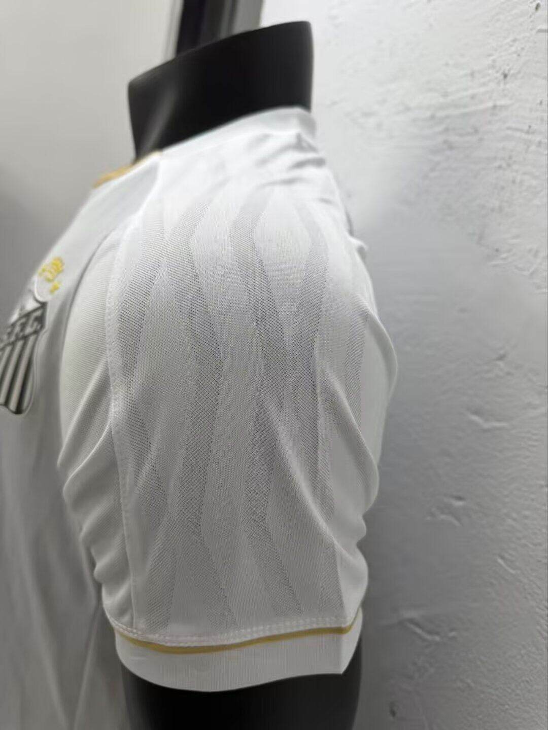 SANTOS Version jugador — Brasileirao
