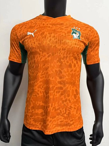 2026 Ivory Coast Home Player version S-3XL — Jsonwang 26/27