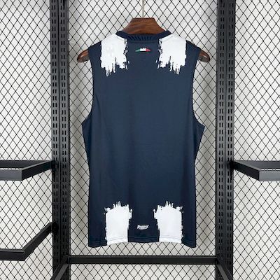 Monterrey 2025/26 Home Vest Jersey