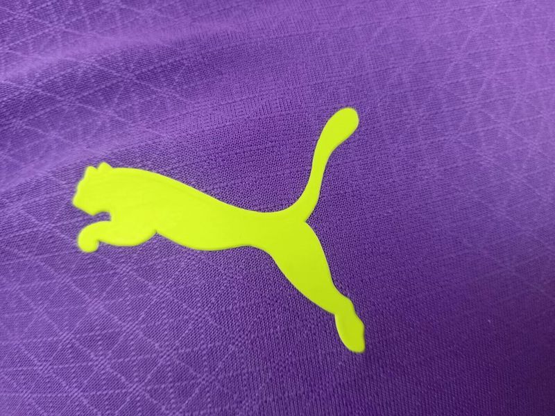 25-26 Dortmund purple player version jersey
