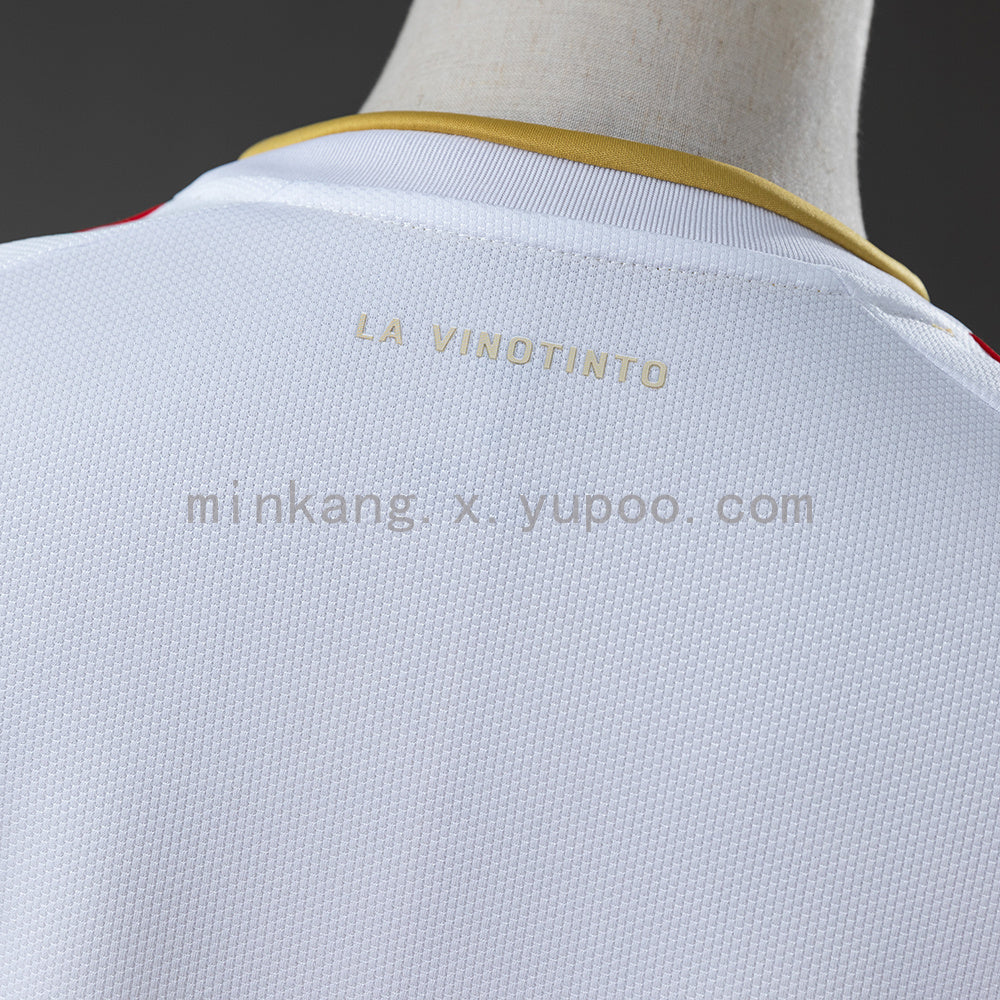 Venezuela 2026 Away Jersey S-XXL