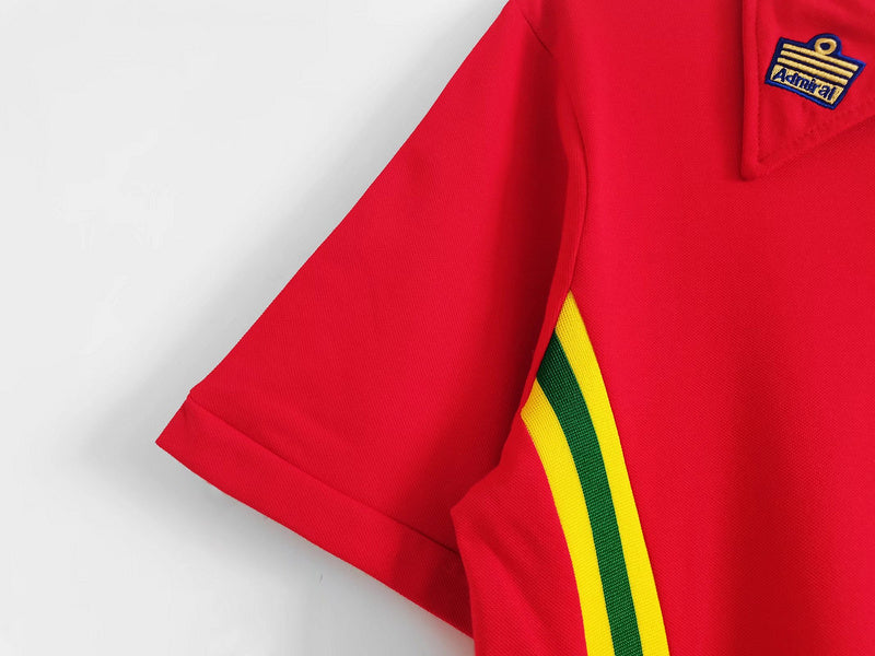 1976/79 Wales home